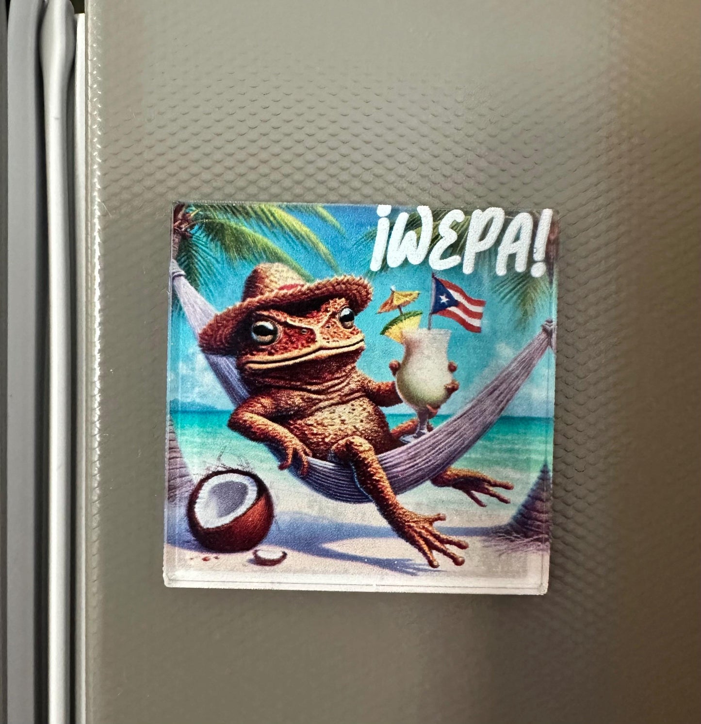 Puerto Rican Frog Magnet: Sapo Concho Wepa Art Souvenir, piña colada in a hammock
