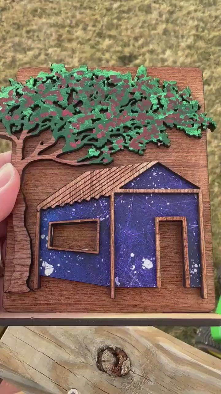Video