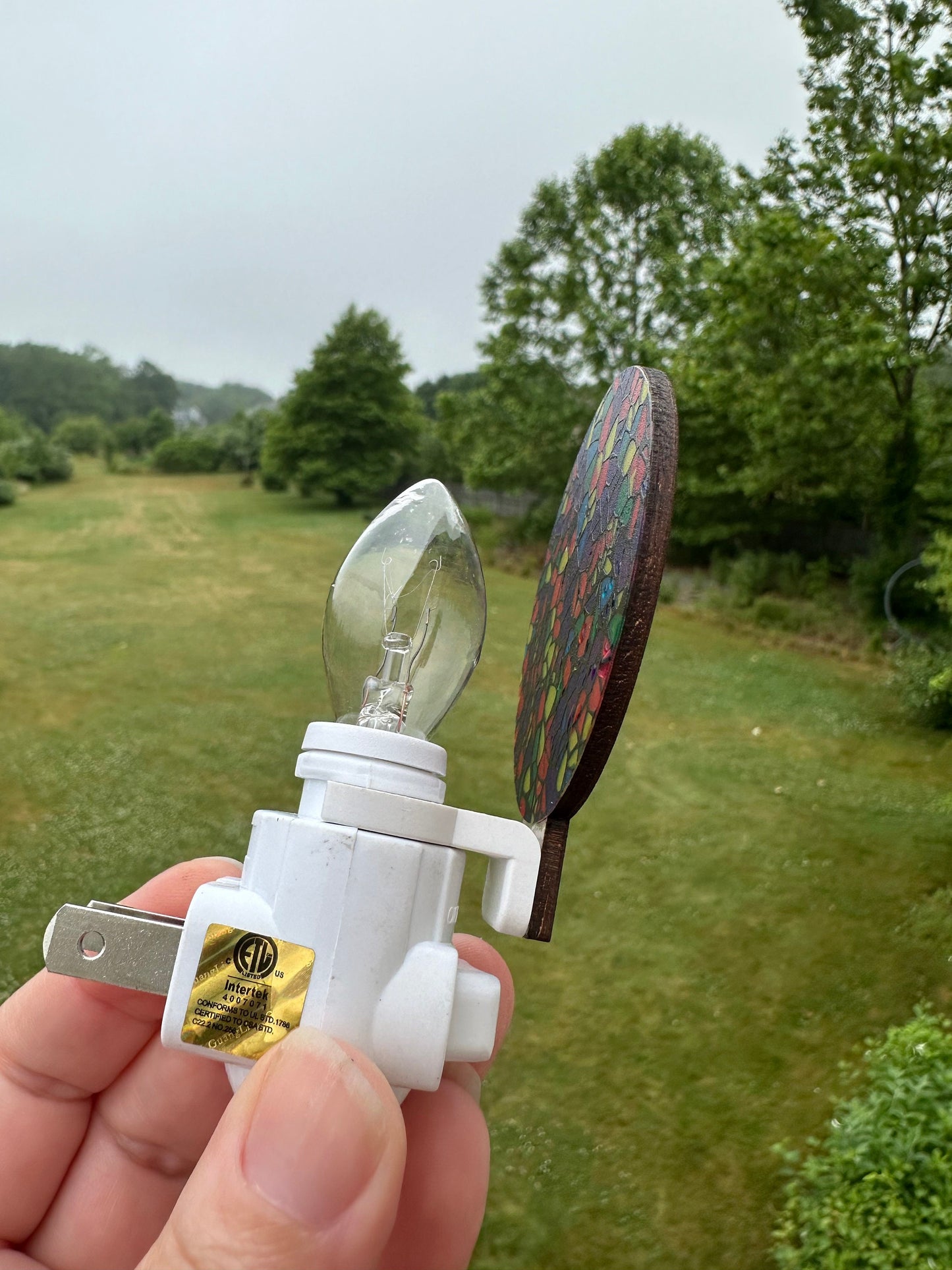 Taino Coqui Nightlight: Puerto Rican Mosaic look Art