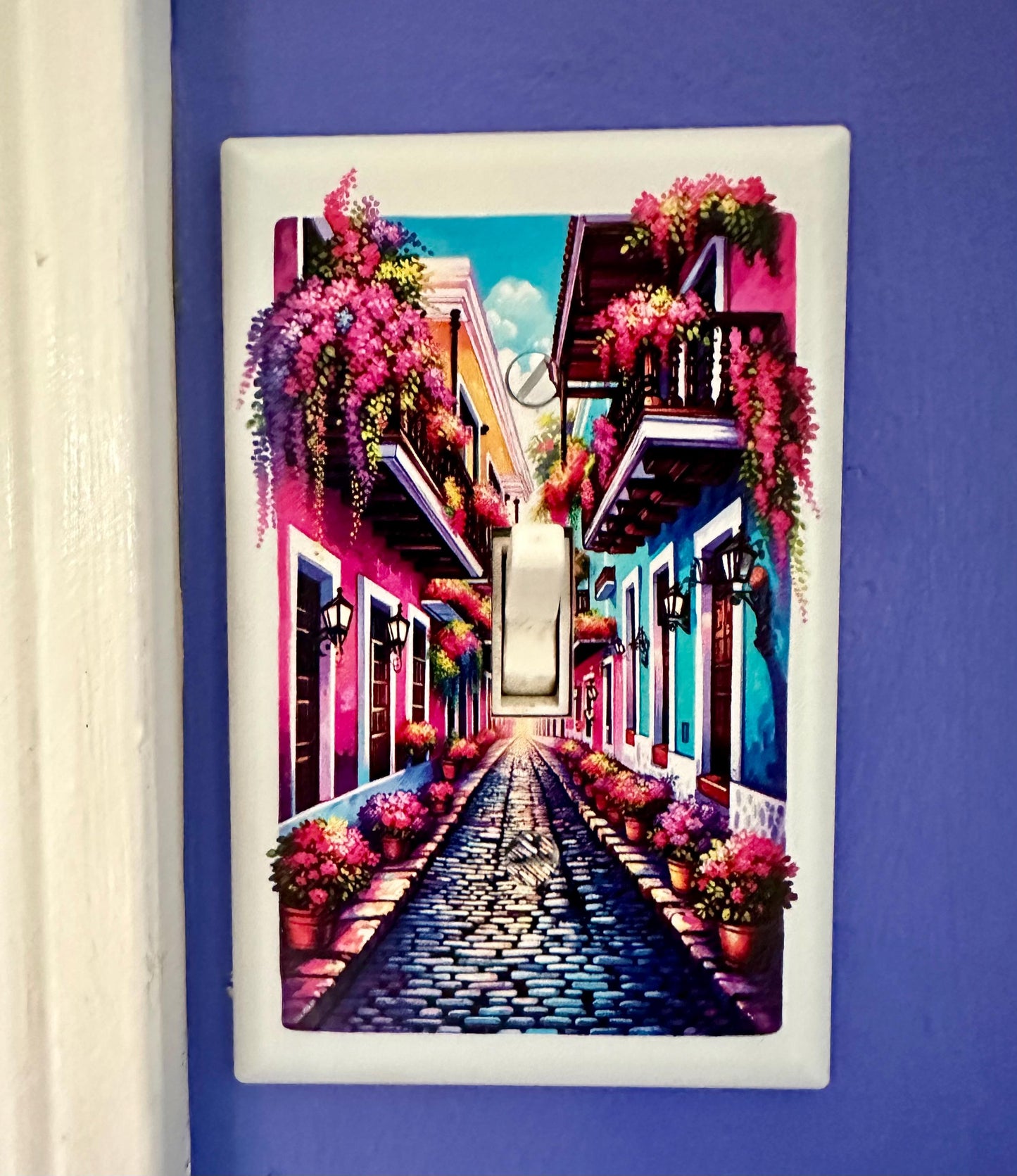Viejo San Juan Light Switch Cover: Puerto Rico Decor