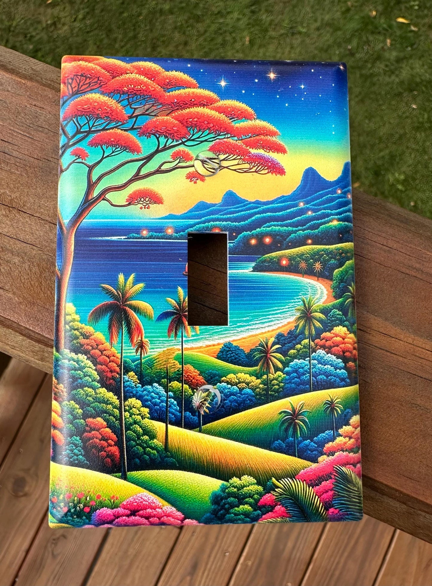 Viejo San Juan Light Switch Cover: Puerto Rico Decor