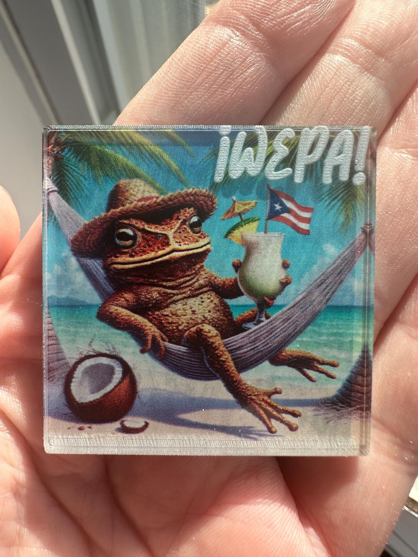 Puerto Rican Frog Magnet: Sapo Concho Wepa Art Souvenir, piña colada in a hammock